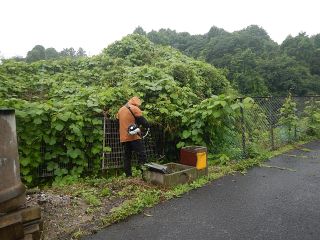 地域貢献活動1